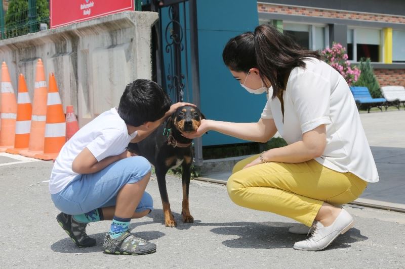 Atakum Belediyesi sevimli dostların her an yanında
