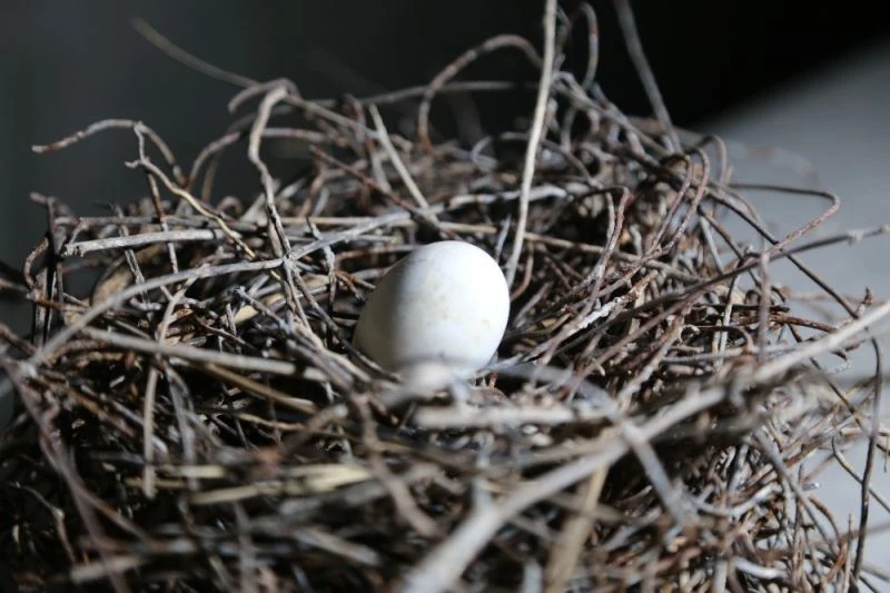 Elazığ’da güvercin yerin 6 metre altına demirden yuva yaptı
