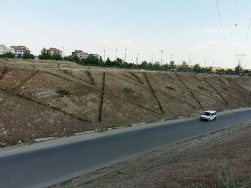 Atatürk Bulvarında peyzaj düzenlemesi
