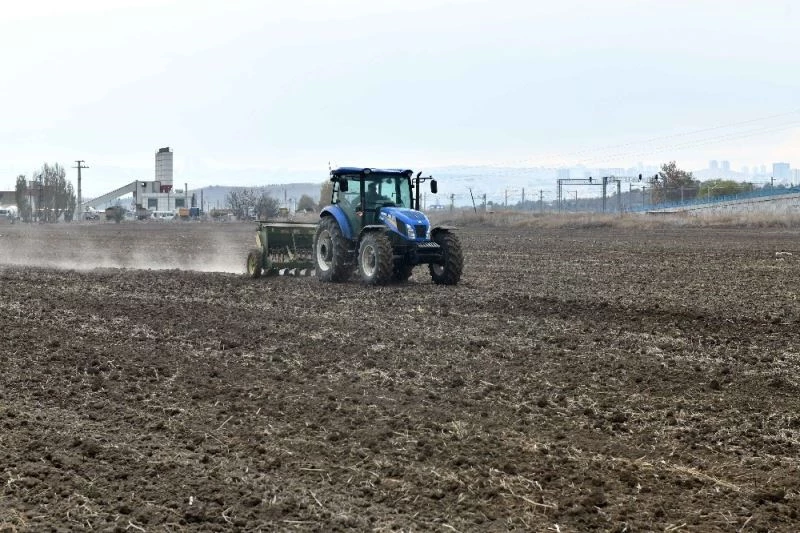 Macar fiğ tohumu desteği için başvuru rekoru
