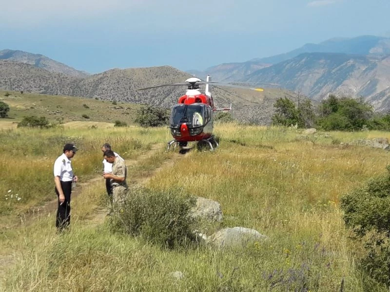 Fırtınanın devirdiği ağaç anne ve oğlunun üzerine düştü
