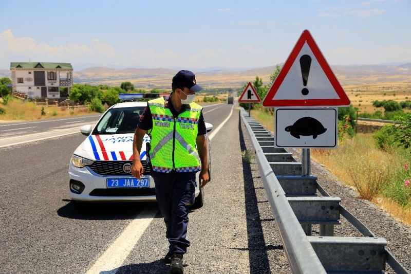 Mehmetçik, kaplumbağalar için görevde
