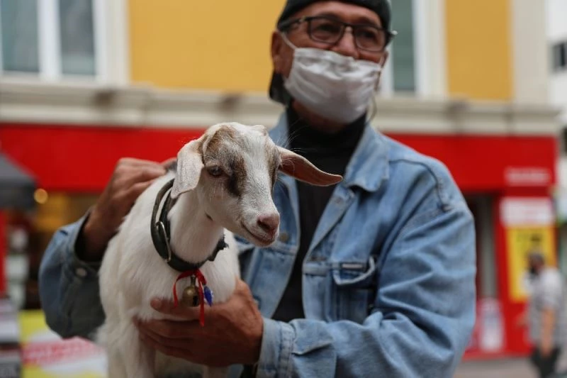 Konuşamayan vatandaşın en yakın dostu herkesi kıskandırıyor
