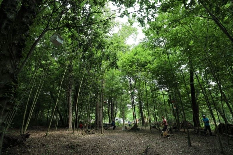 Döngel Vadisi Mesire Alanı’nda çalışmalar devam ediyor
