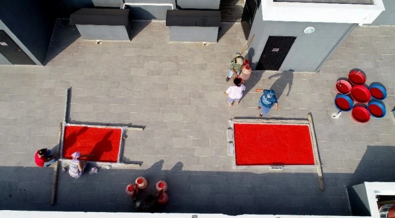 Adana’da salça sezonu başladı, damlar kırmızıya boyanıyor
