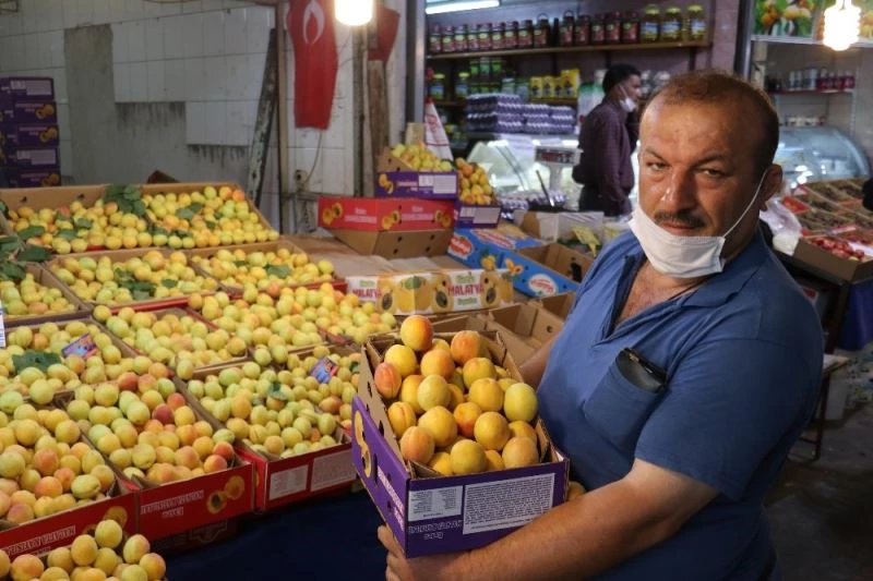 Sezonun son yaş kayısıları tezgahlarda

