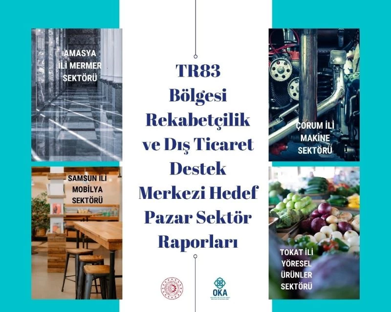 OKA 4 il için hedef pazar sektör raporları hazırladı
