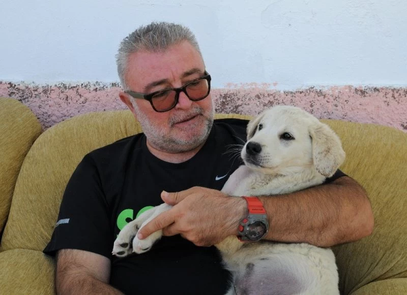 (Özel) Atın tekmesiyle yaralanan sevimli dostuna baba şefkati ile bakıyor
