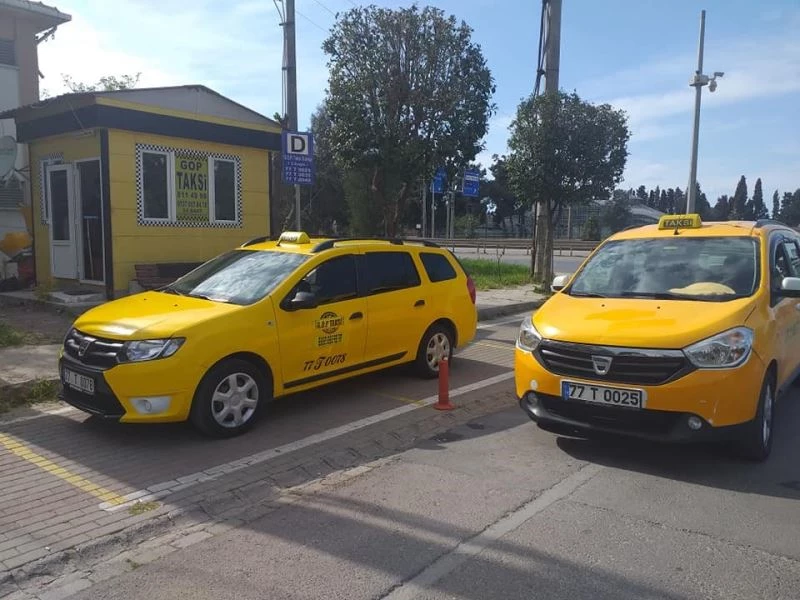 Taksici durakta iguanayı görünce şaştı kaldı
