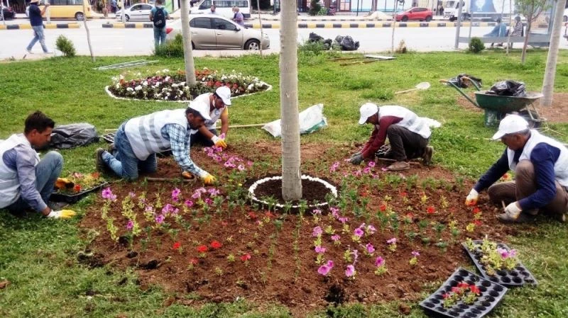Edremit çiçeklerle süsleniyor
