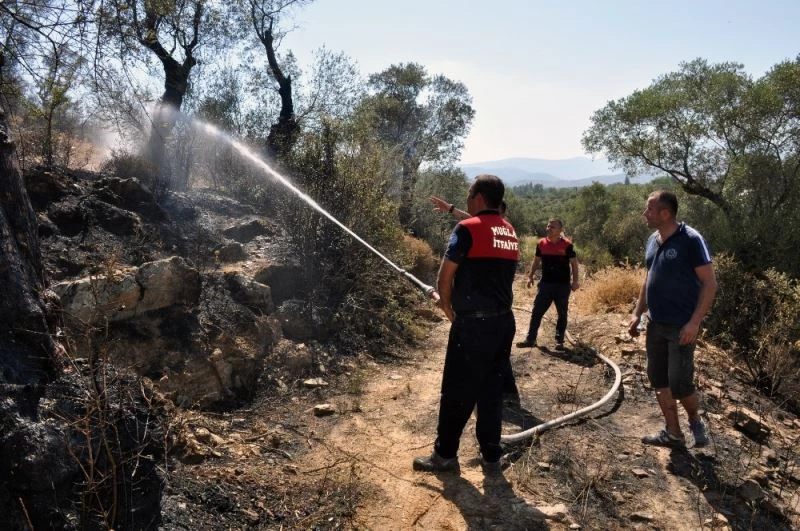 Milas’ta zeytinlik arazideki yangın söndürüldü
