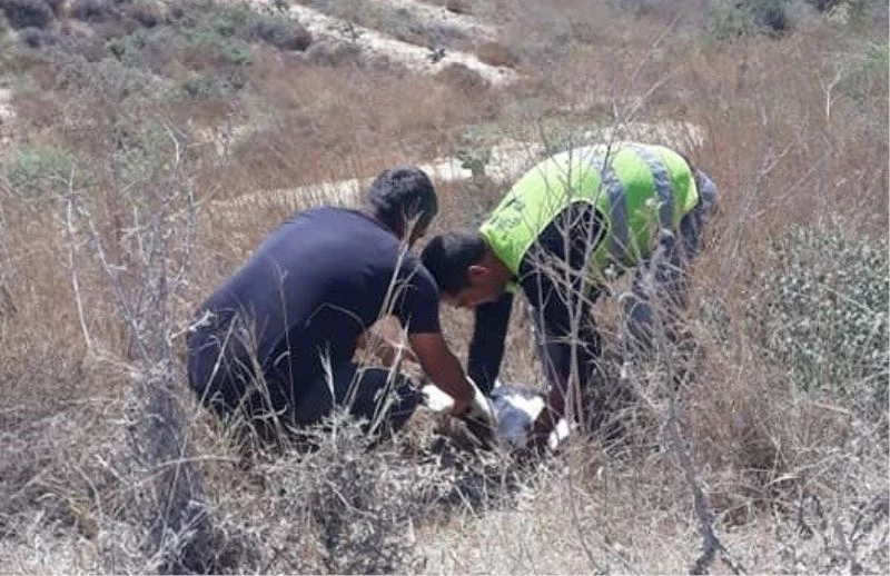 Yaralı leyleğe büyükşehir personeli sahip çıktı
