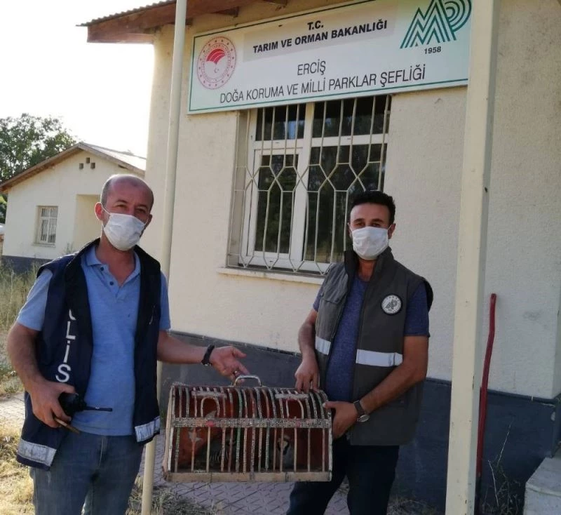 Van’da kaçak avlanılan 2 kınalı kekliğe el konuldu
