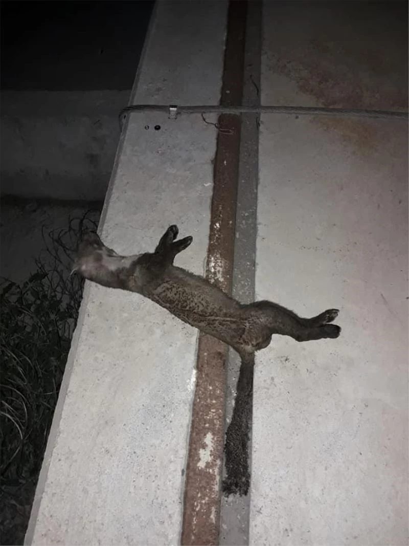 Sansar, 3 ilçeyi enerjisiz bıraktı
