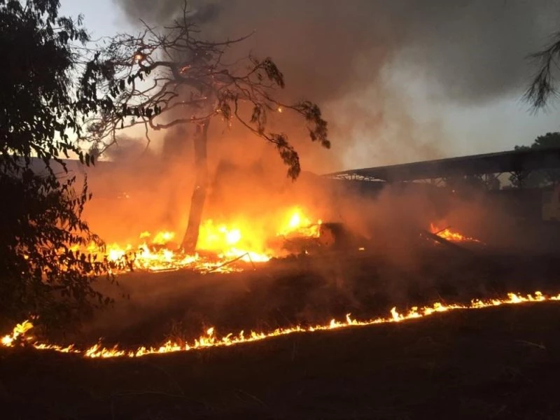 Alata’da çıkan yangın korkuttu
