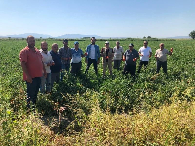 Fabrikalar sözleşmeye uymadı, fiyatlar 30 kuruşa düştü
