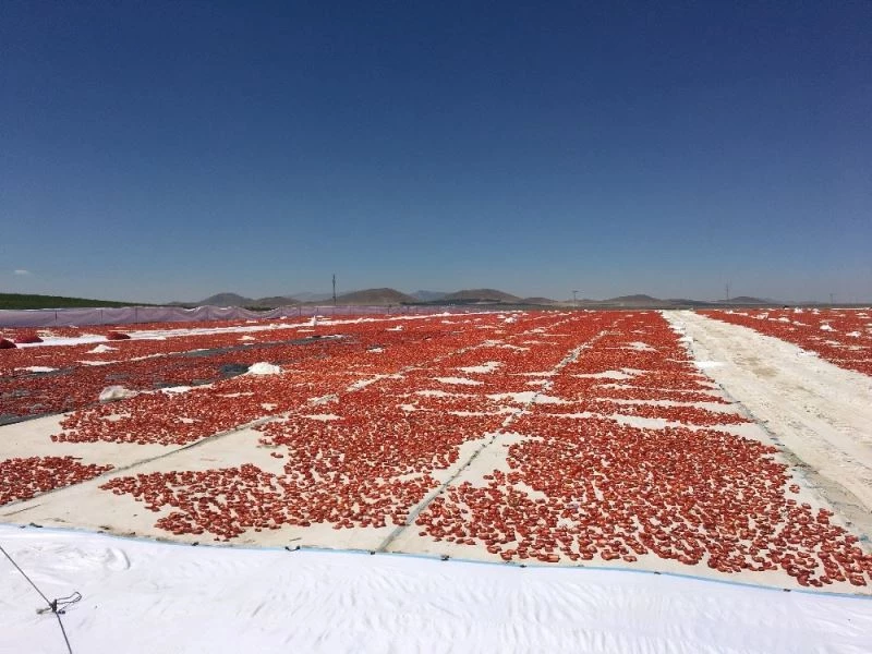 Niğde’de üretilen kuru domatesler 6 ülkeye ihraç ediliyor
