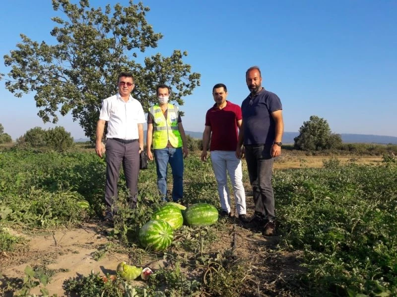 Mustafakemalpaşalı çiftçinin yüzü yeni gelir kaynaklarıyla gülecek
