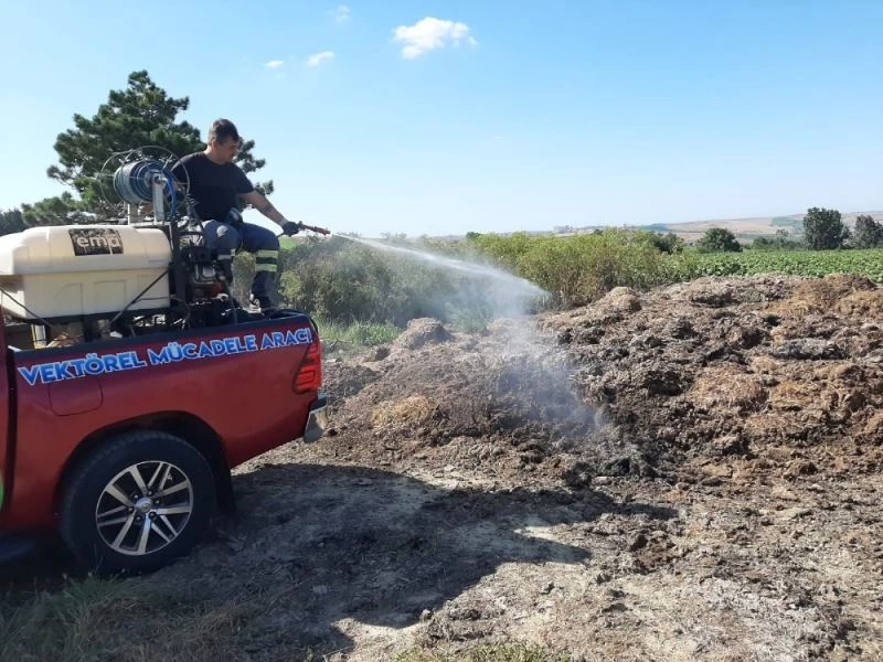 Sivrisinek mücadelesi kesintisiz sürüyor
