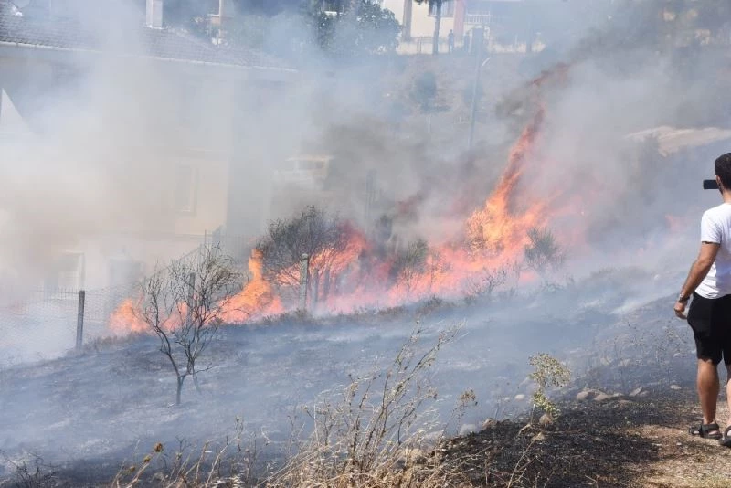Sinop’ta ardışık yangınlar
