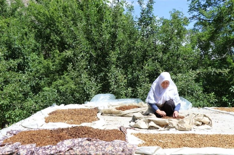 Doğu’da sıcaklıklar mevsim normallerinde seyredecek
