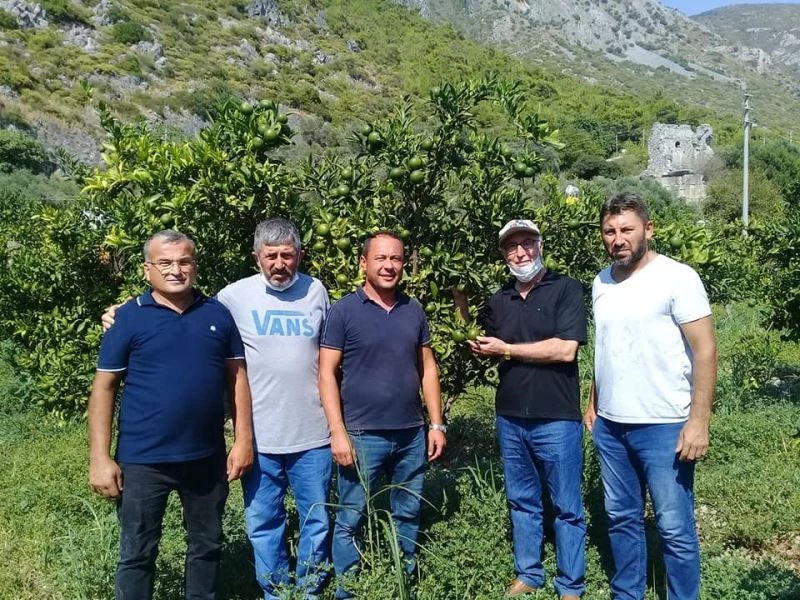 Bitki besleme ve akdeniz sineği zararlısına dikkat
