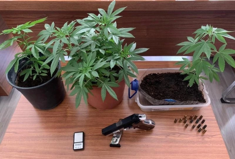 İstanbul’daki uygulamada aranan 401 kişi yakalandı
