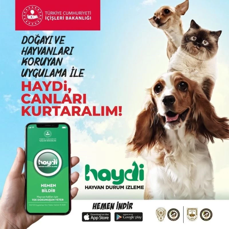 HAYDİ uygulamasını 17 günde 9 bin 453 kişi indirdi
