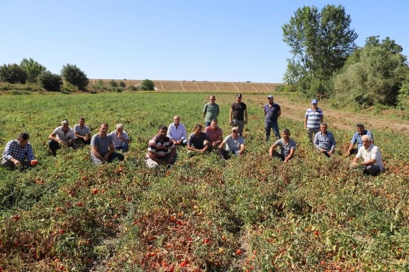 4 kilo domatese köy kahvesinde 1 bardak çay içen üretici isyan etti
