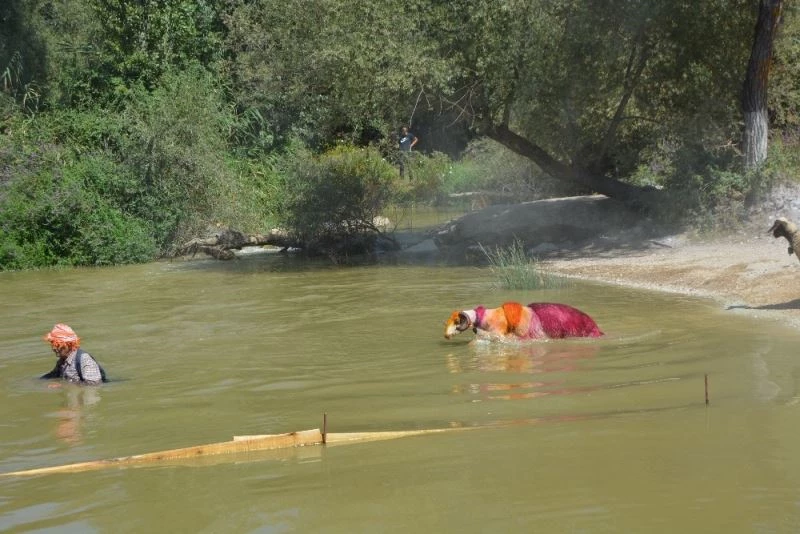 Kültürel Miras Listesi’ndeki ‘Sudan Koyun Geçirme Yarışması’ temsili yapılacak
