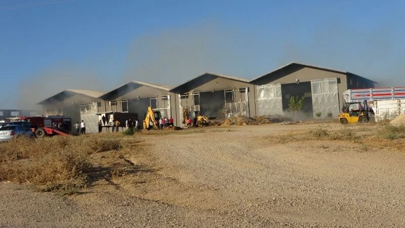 Saman ambarı alevler içinde kaldı
