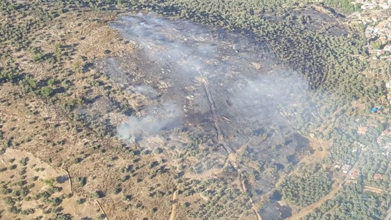Evde çıkıp zeytinliğe sıçrayan yangın kontrol altında
