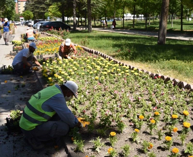 2 milyon 470 bin metrekare yeşil alana bakım
