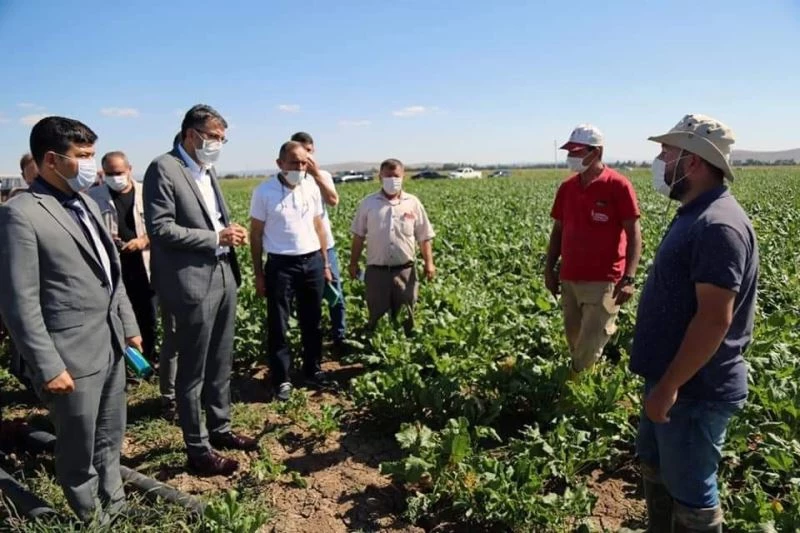 Beşkarış barajı bölgeye can suyu
