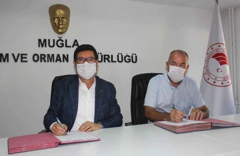 Bodrum ve Milas’ta deniz kıyılarını, kültür balıkçıları temizleyecek
