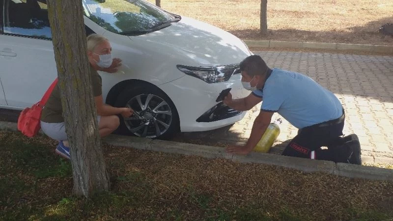 İnatçı kedi çileden çıkardı
