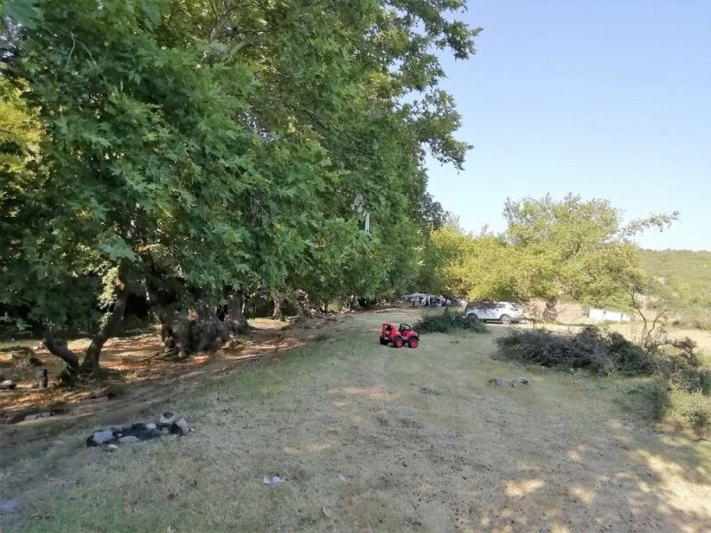 Ketenlik deresi ilgi bekliyor
