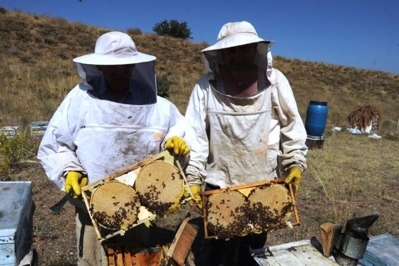 Bitlis’teki bal hasadından 50 milyon TL gelir bekleniyor
