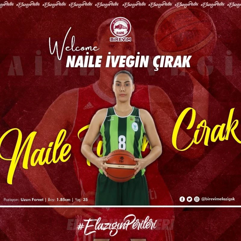 Naile İvegin Çırak, Elazığ İl Özel İdare’de
