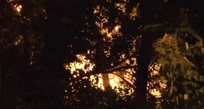 Emirgan Korusu’nu yakan şüpheli hakkında jet iddianame
