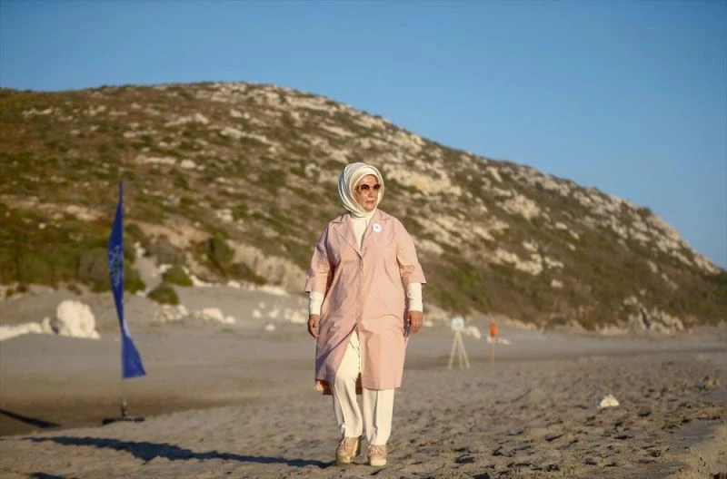 Tedavi edilen caretta carettalar doğal yaşam alanlarına bırakıldı