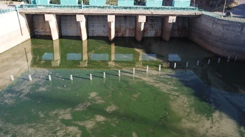 Rengi değişen Koçköprü barajının suyu vatandaşları tedirgin etti
