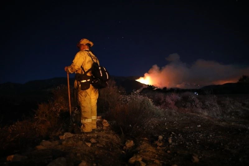 ABD’de 20 bin dönümden fazla ormanlık alan küle döndü
