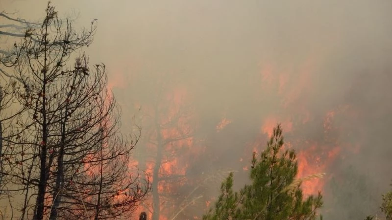 Dumandan etkilenen görevli canı pahasına alevlerle mücadele ediyor
