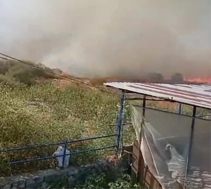 Ev ve ahırlara metreler kala söndürüldü
