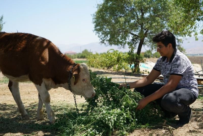 Okul Destek Projesiyle tanıştı, LGS’den 464 puan alarak Fen lisesine yerleşti

