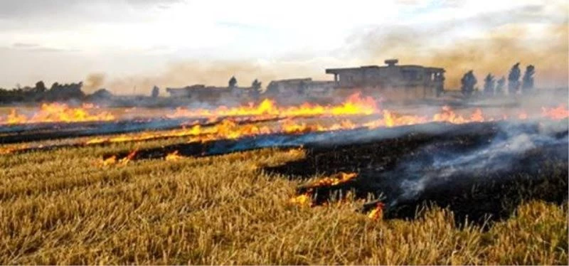 Anız yakan geleceğini yakar
