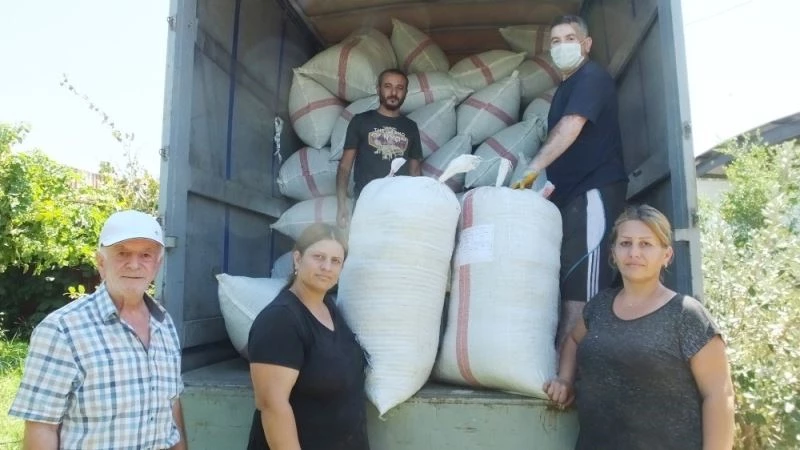 Balıkesir’den stevia Almanya’ya ihraç ediliyor
