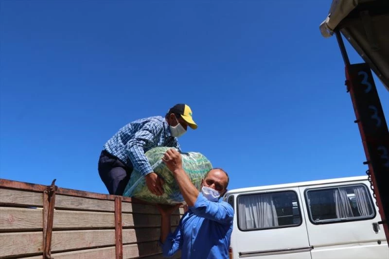 İnsuyu fasulyesi 3 lira 60 kuruştan alıcı buluyor