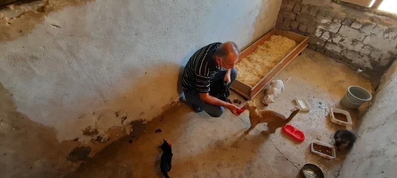Evlerinin bir bölümünü sokak hayvanlarına ayıran çift, mama desteği bekliyor
